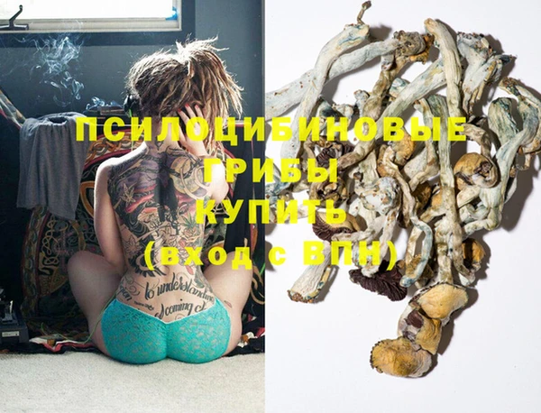 MDMA Ельня