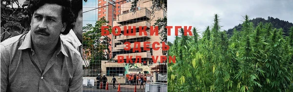 дмт Елабуга
