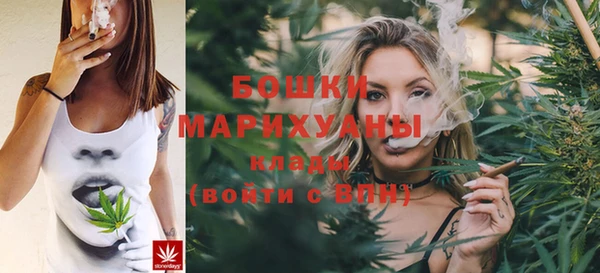 не бодяженный Дмитров