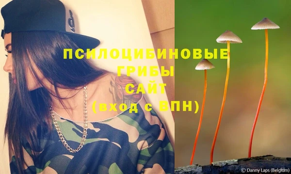 не бодяженный Дмитров