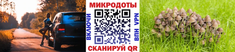 Купить где  Ивдель  Галлюциногенные грибы прущие грибы 